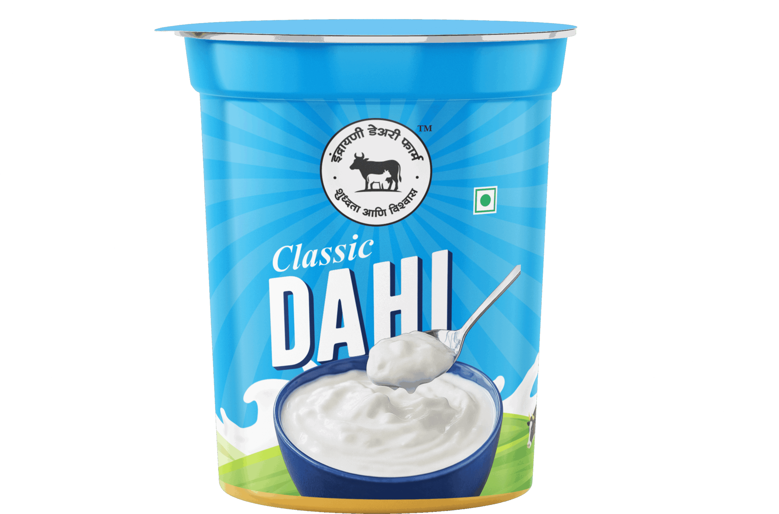 dahi jar